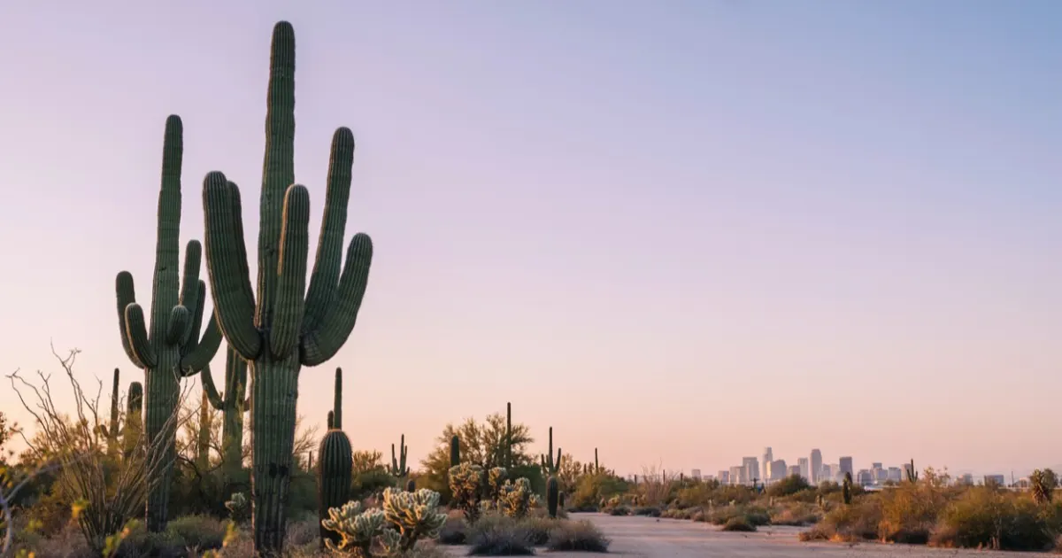 Arizona landscape