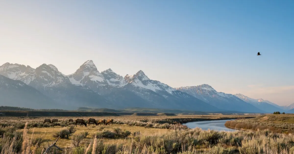 Wyoming landscape